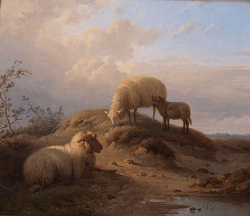 Balthasar Ommeganck - Pecore e capre sul campo